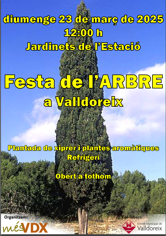 Festa de l'Arbre 2025