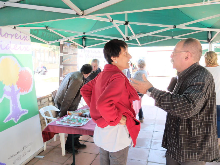 Paradeta per St. Jordi 2015