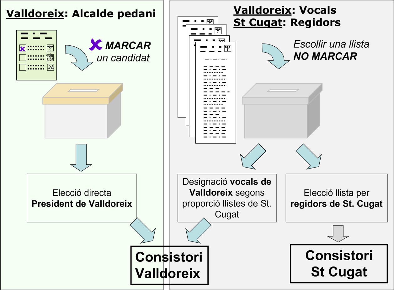 Sistema electoral de les EMD 