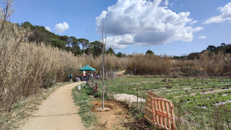 Festa de l'arbre 19 de març 2023