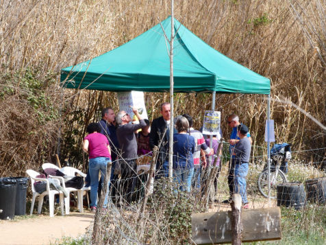 Festa de l'arbre 19 de març 2023