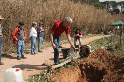 Festa de l'arbre 19 de març 2023