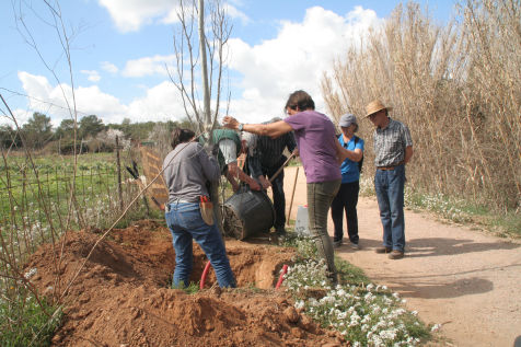 Festa de l'arbre 19 de març 2023