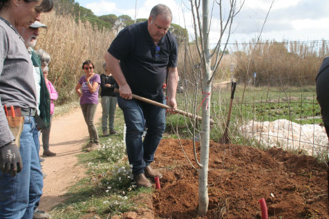 Festa de l'arbre 19 de març 2023