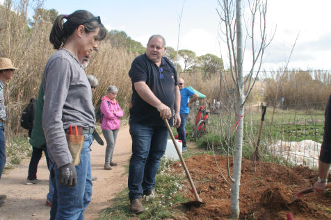 Festa de l'arbre 19 de març 2023