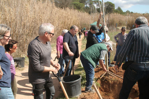 Festa de l'arbre 19 de març 2023